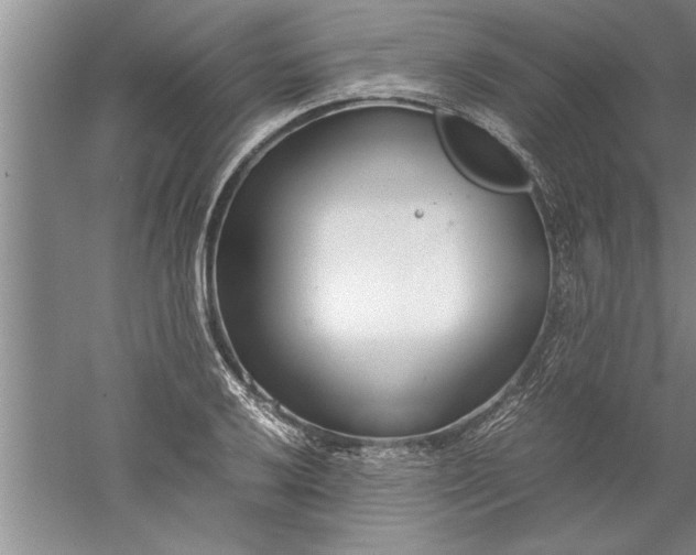 X0000052551032200507152154