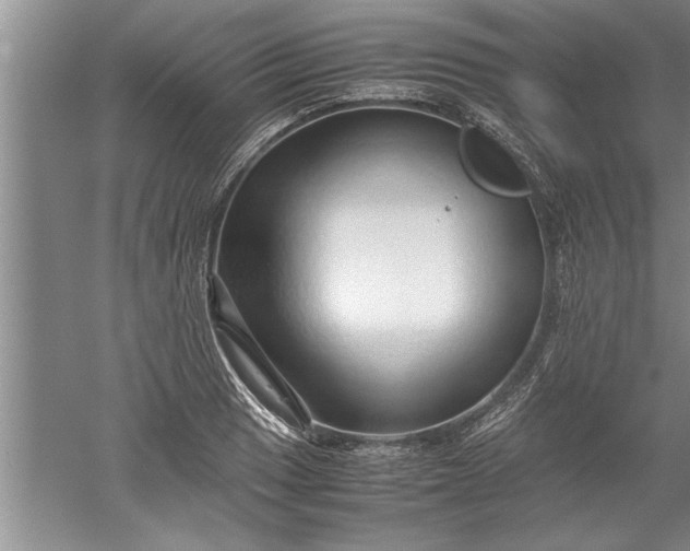 X0000052551033200507152154