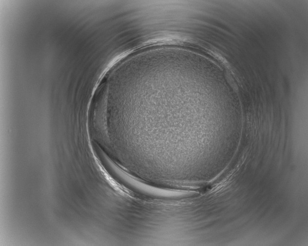 X0000052551034200507152154