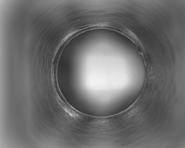 X0000052551035200507152154