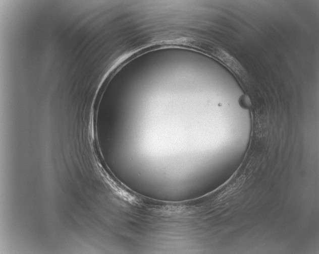 X0000052551036200507152154