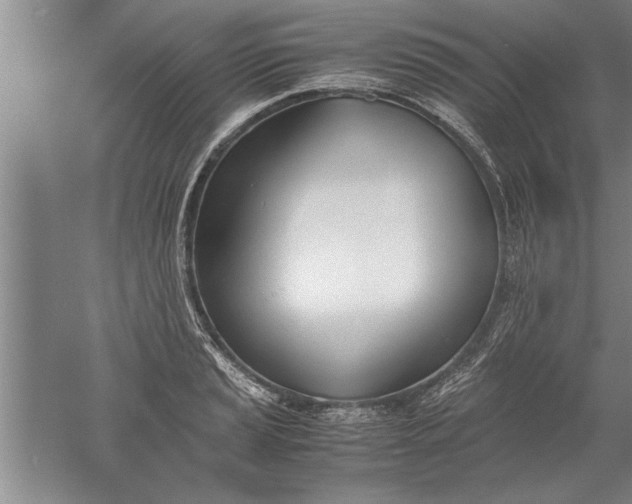 X0000052551037200507152154