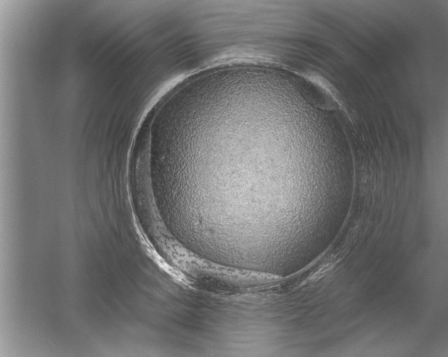 X0000052551038200507152154