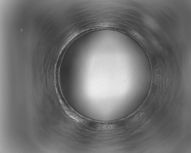 X0000052551039200507152154