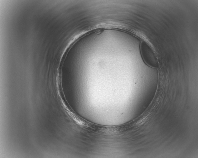 X0000052551040200507152154