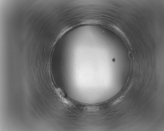 X0000052551041200507152154