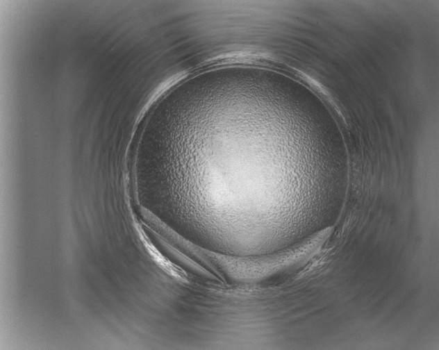 X0000052551042200507152154