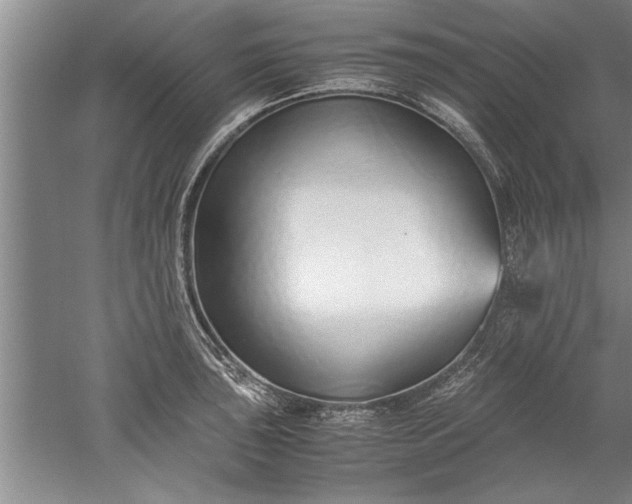 X0000052551043200507152154