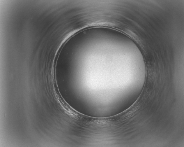 X0000052551044200507152154