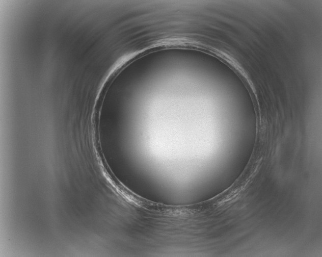 X0000052551045200507152154