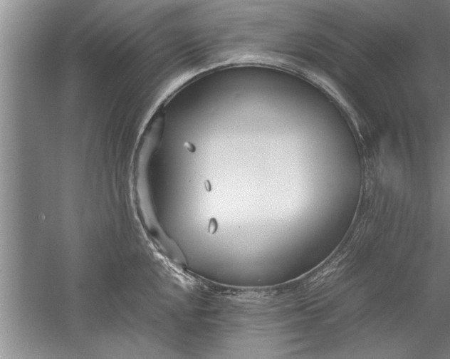 X0000052551048200507152154