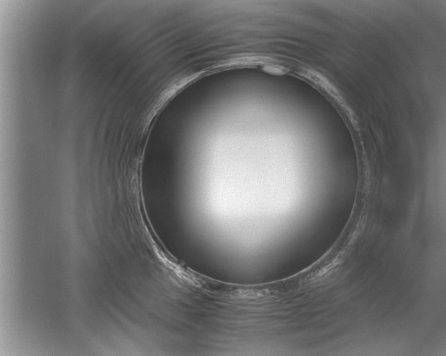 X0000052551049200507152154