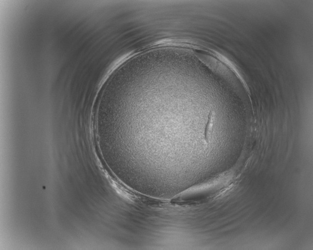 X0000052551050200507152154