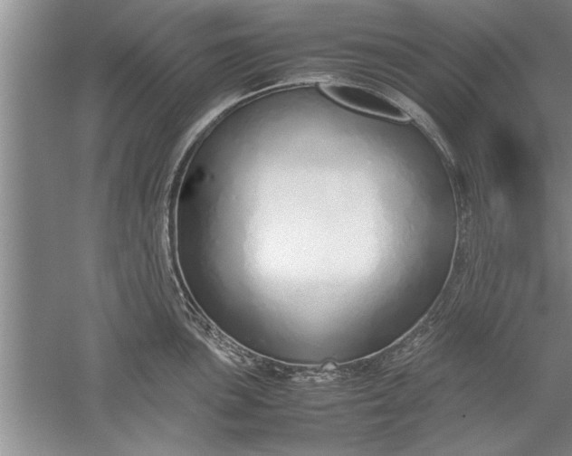 X0000052551051200507152154