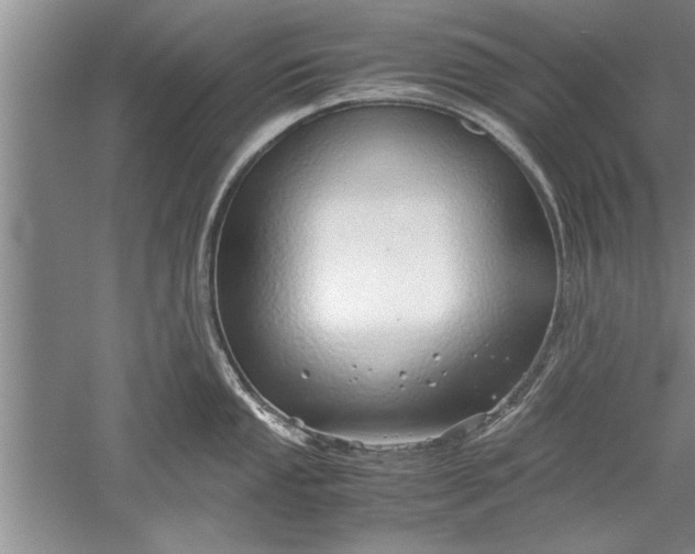 X0000052551053200507152154