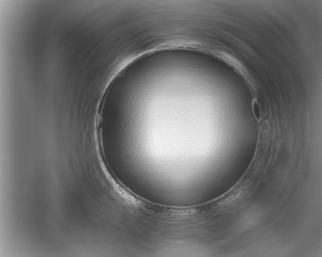 X0000052551055200507152154