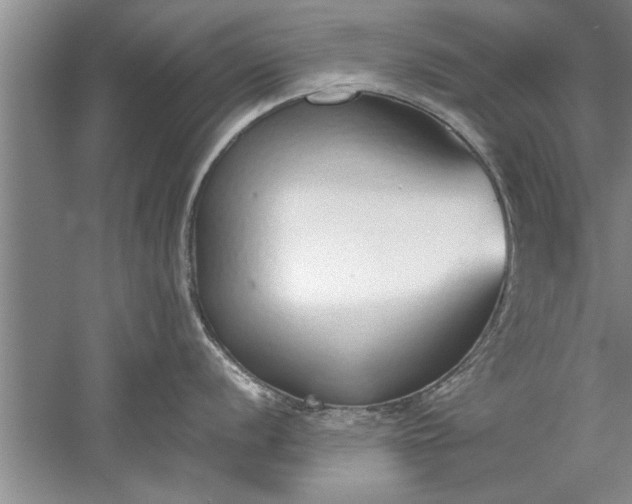 X0000052551056200507152155