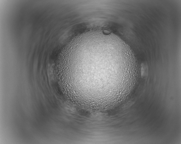 X0000052551059200507152154