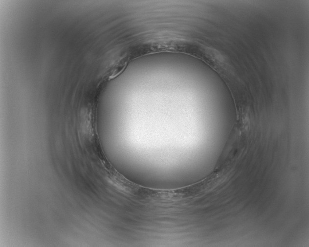 X0000052551060200507152154