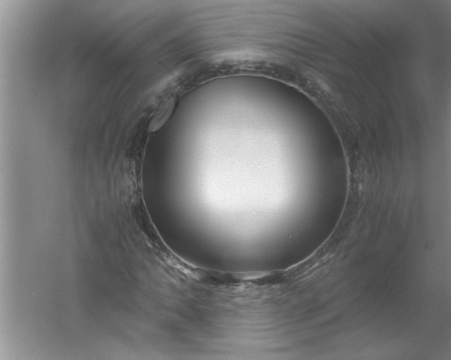 X0000052551062200507152154