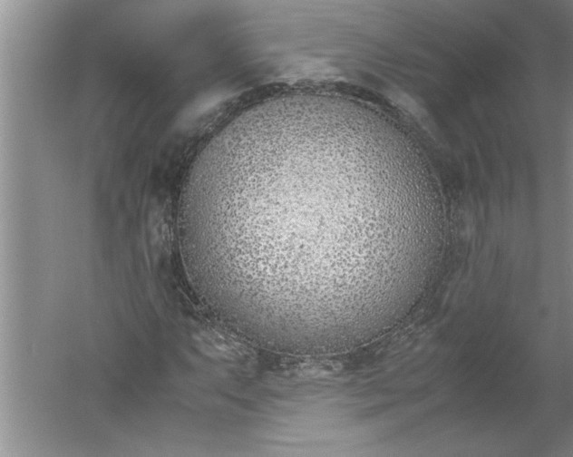 X0000052551063200507152154