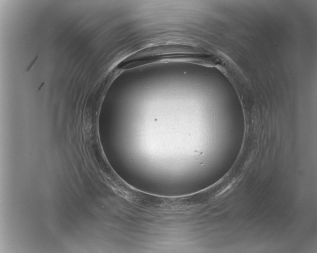 X0000052551065200507152154