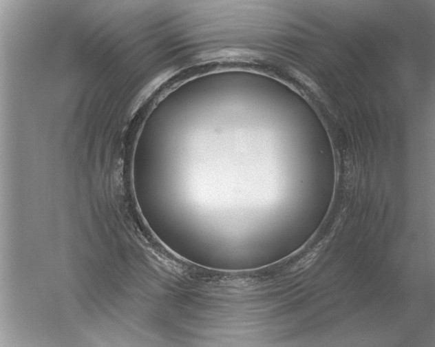 X0000052551066200507152154