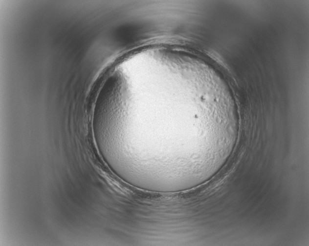 X0000052551067200507152154