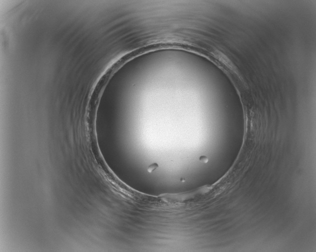 X0000052551068200507152154