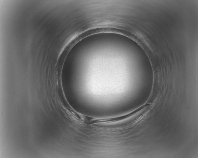 X0000052551069200507152153