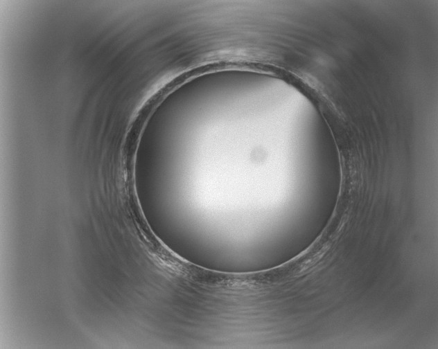 X0000052551070200507152153