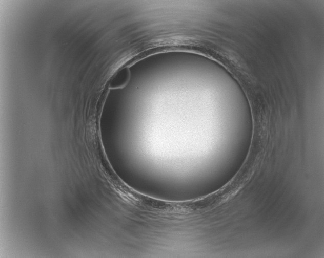 X0000052551073200507152153