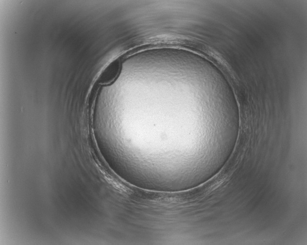 X0000052551075200507152153