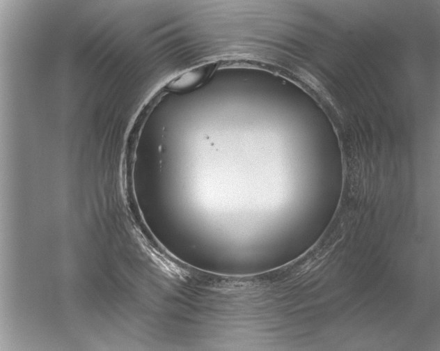 X0000052551076200507152153