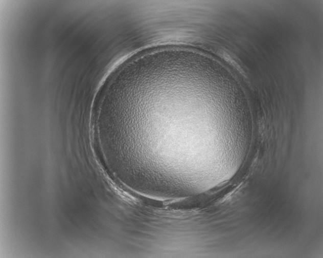 X0000052551077200507152153