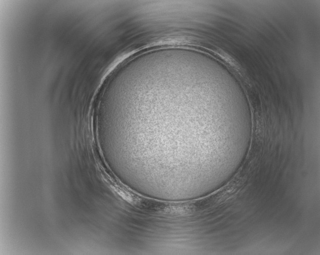 X0000052551078200507152153