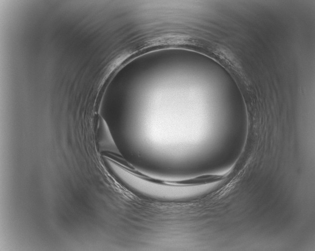 X0000052551081200507152153