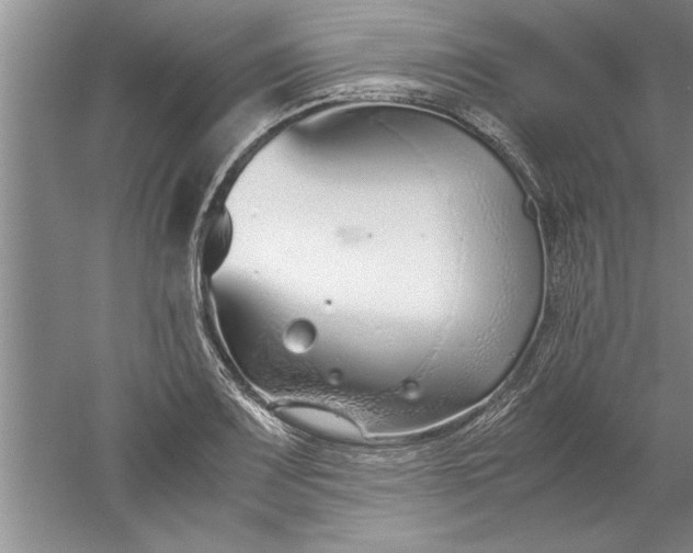 X0000052551083200507152153