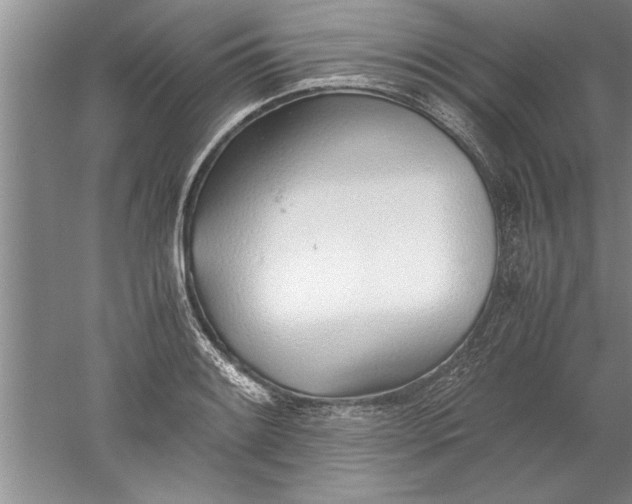 X0000052551084200507152153