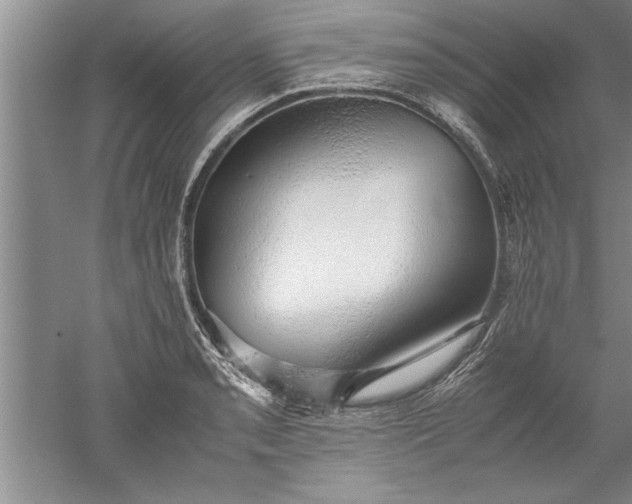 X0000052551085200507152153