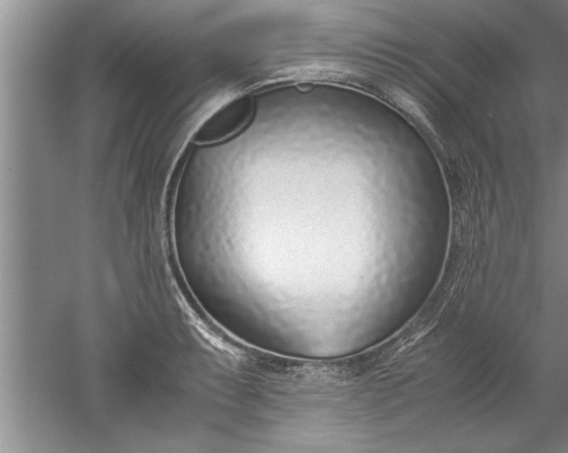 X0000052551087200507152153