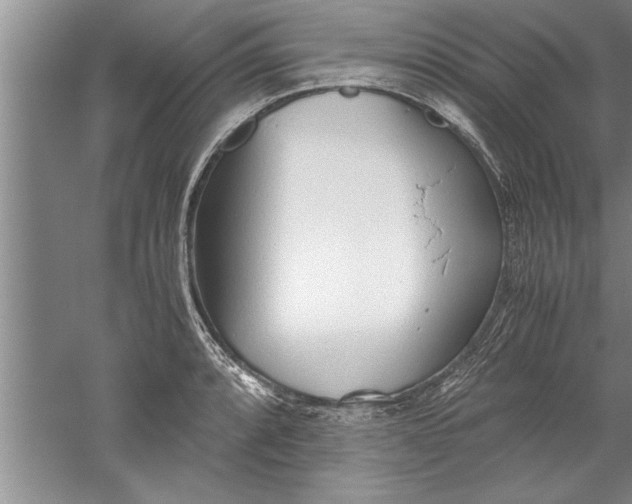 X0000052551088200507152153