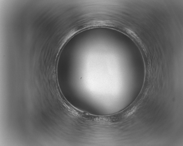 X0000052551089200507152153