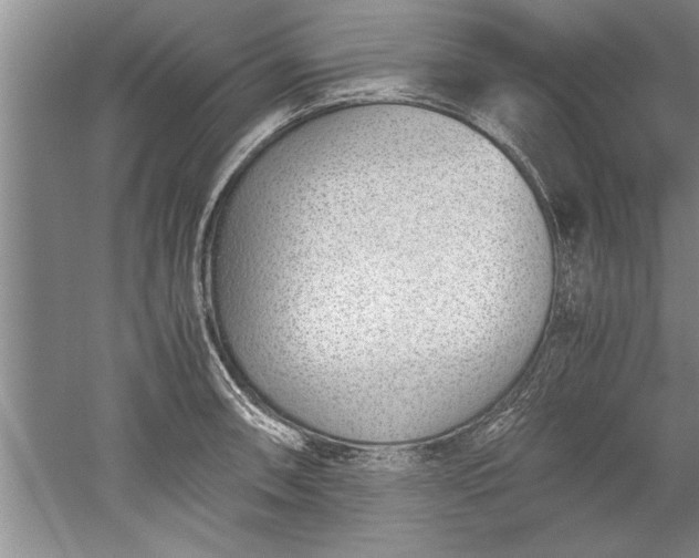 X0000052551090200507152153