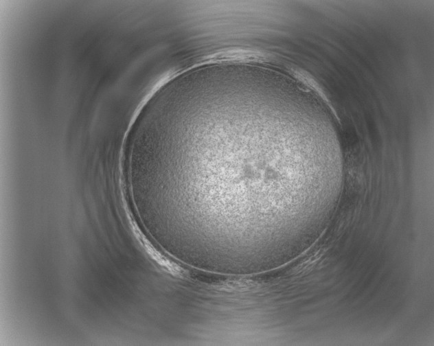 X0000052551091200507152153