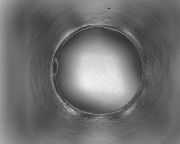 X0000052551093200507152153