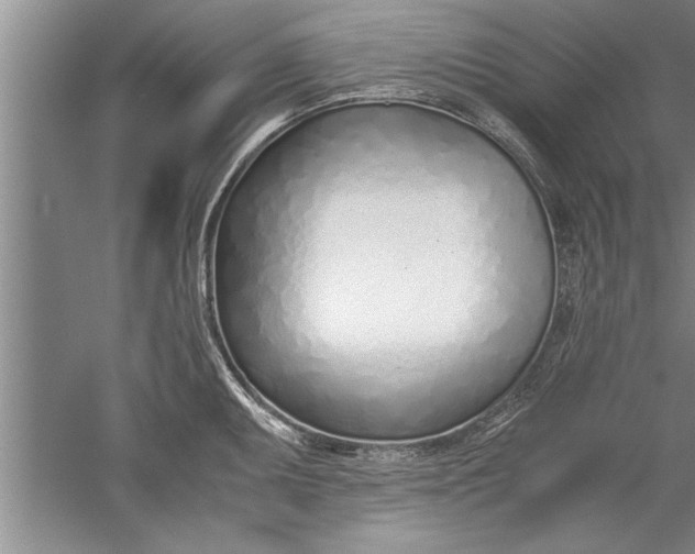 X0000052551095200507152153