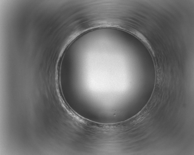 X0000052551096200507152153