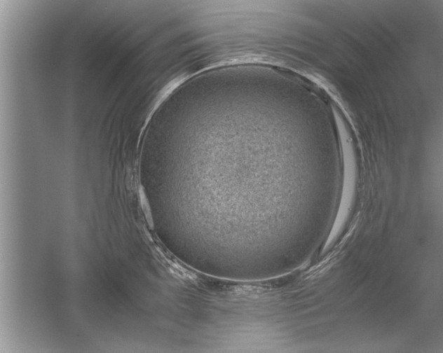 X0000052551097200507152153