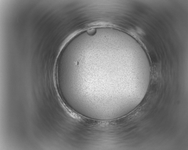 X0000052551098200507152153